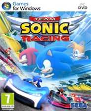 索尼克团队赛车