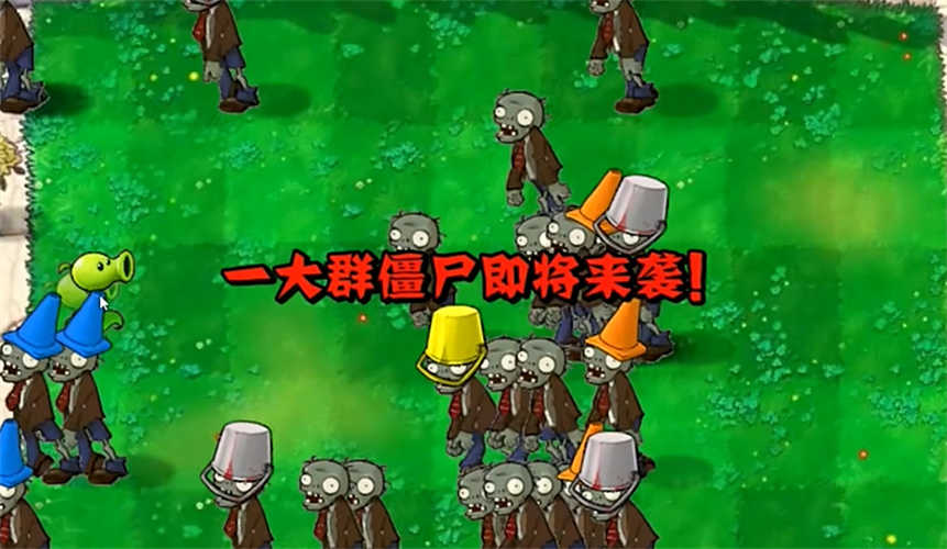 pvz植物大战僵尸指导版图3
