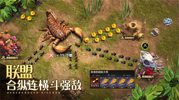 小小蚁国华为版