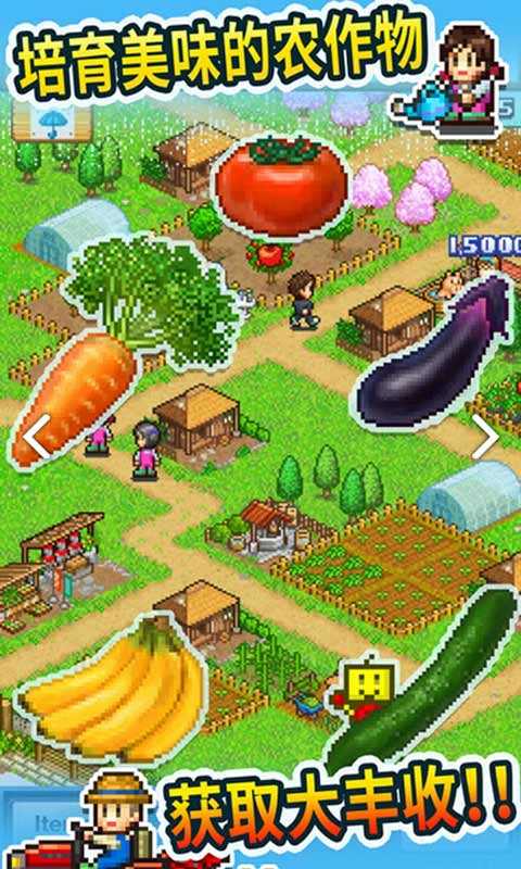 晴空农场物语汉化版2