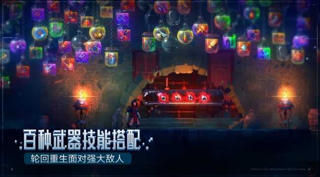 重生细胞中文版(1)