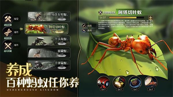 小小蚁国华为版