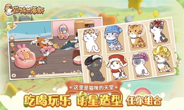 猫猫狗狗一起玩小游戏图4