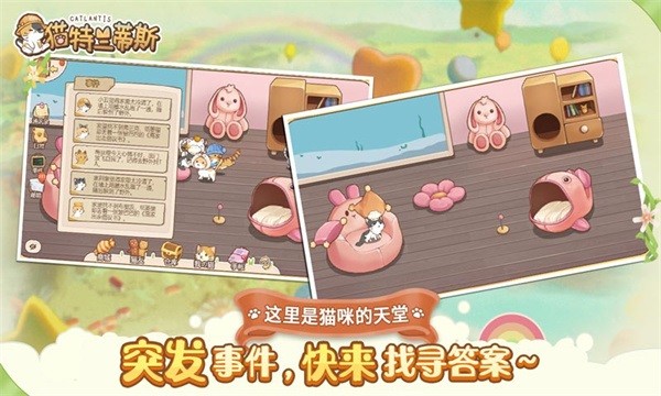 猫猫狗狗一起玩小游戏图2