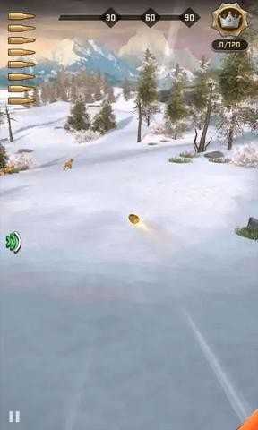 野生鹿猎人Deer HuntingDeer Hunting图2