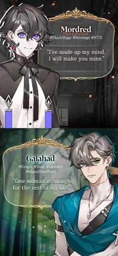 与骑士的秘密之吻游戏手机版4