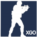 CS XGO