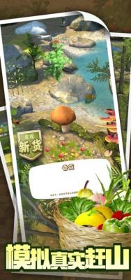 赶山赶海开饭店2