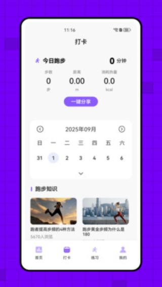 小球圈