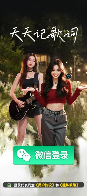 天天记歌词图2