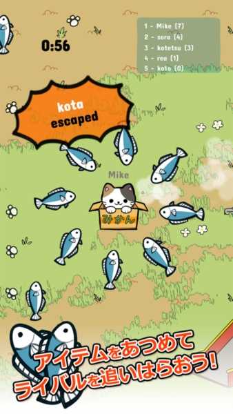 公园里的野猫 (1)