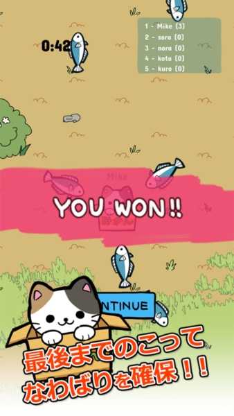 公园里的野猫 (3)