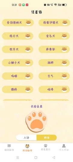 驰恺宠物翻译图1