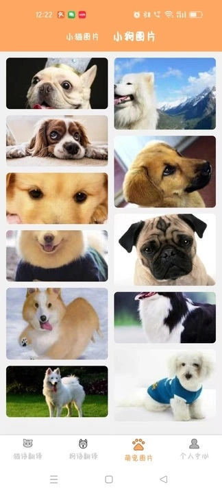 驰恺宠物翻译图2