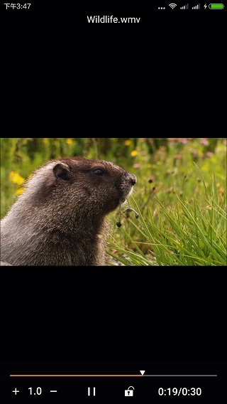 金狮播放器安卓版3