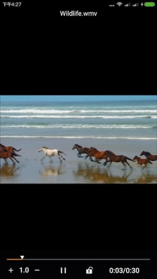 金狮播放器安卓版1