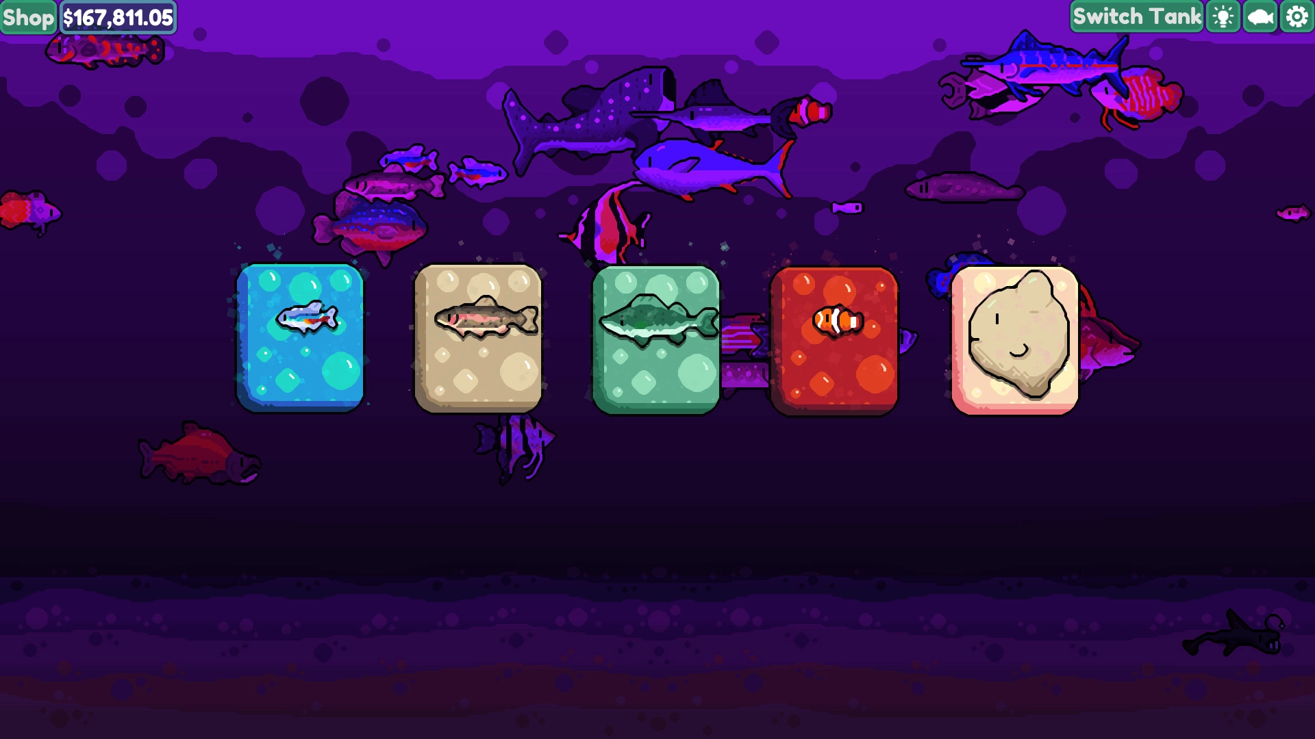 輕松水族館2025最新版