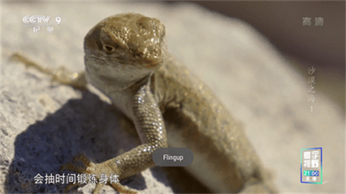 星火电视直播图3