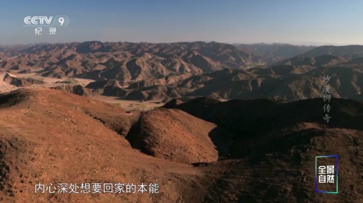 哪吒影院tv版图1