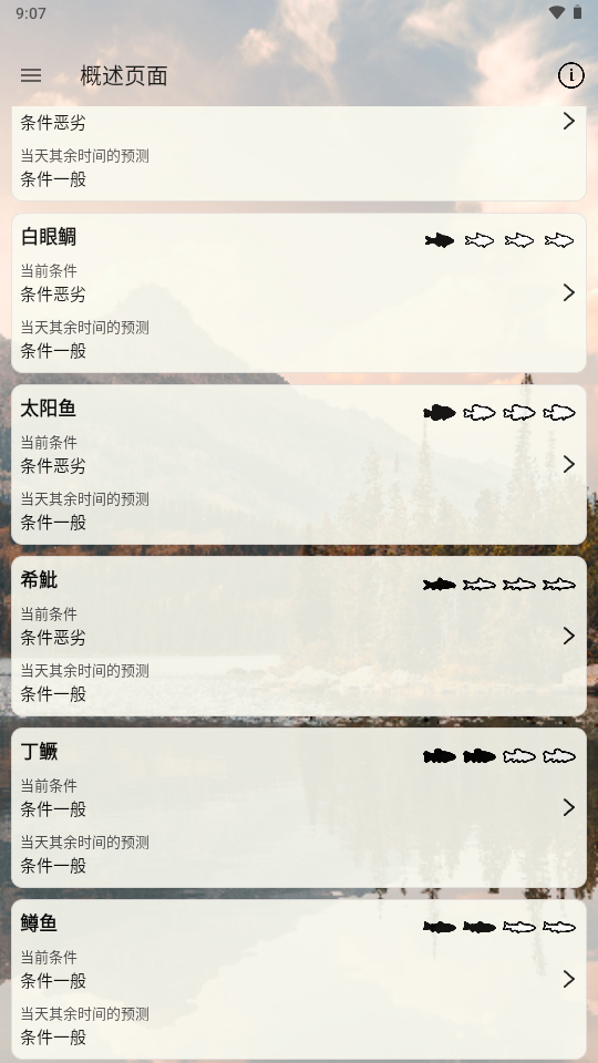 何时钓鱼2025版图4