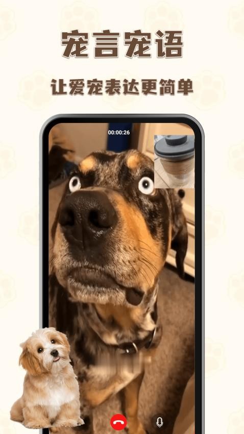 猫狗语言翻译通-图1