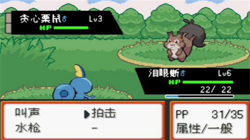 口袋妖怪最终红汉化版