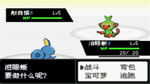 口袋妖怪最终红汉化版