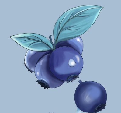 蓝莓软件库软件 v1.0