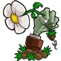 植物大战僵尸重制版