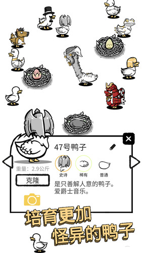奇怪的鸭子2无广告(1)