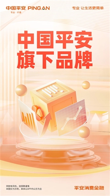 平安消费金融(5)