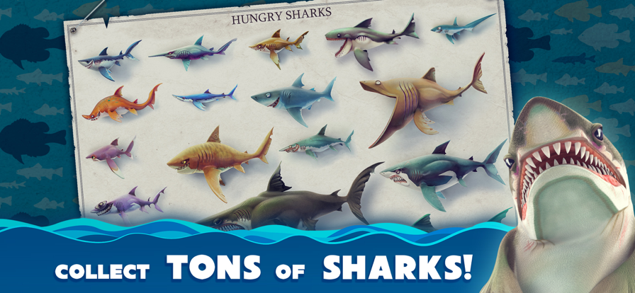 饥饿鲨世界国际服2025图1