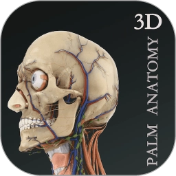 掌上3d解剖软件安卓版