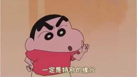 一定是特别的缘分才能认识你这头猪 