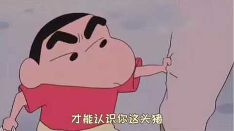 一定是特别的缘分才能认识你这头猪 