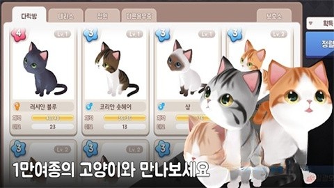 治愈猫咪培育馆图1