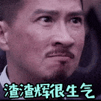 抖音渣渣辉gif动图 图1