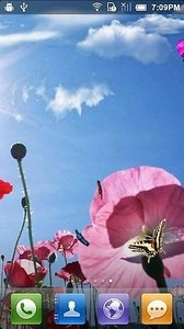 春天蝴蝶动态壁纸图1