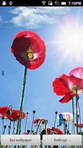 春天蝴蝶动态壁纸图2