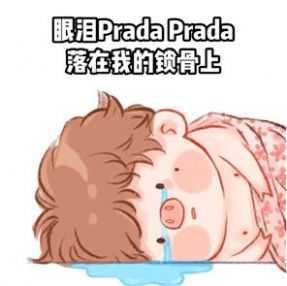Prada的眼泪PradaPrada地掉表情包 