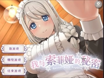 我與索菲亞的秘密