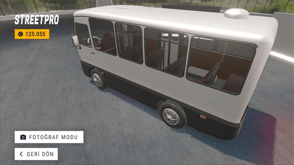 街头汽车驾驶图1