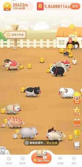 一起來養豬正版