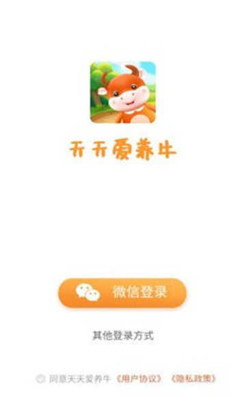 天天愛養(yǎng)牛