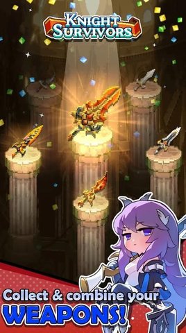 骑士之星图1