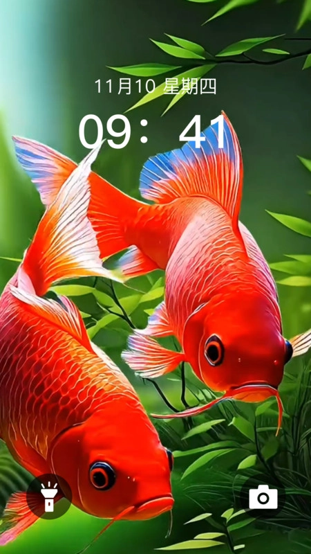 動(dòng)態(tài)養(yǎng)魚壁紙2