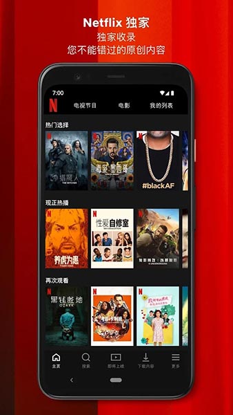 netflix安卓 build 3 63666 安卓最新版