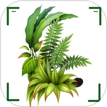 识万物扫一扫最新版