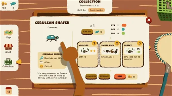 斗蟲公園漢化版