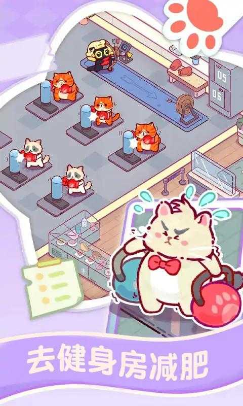 貓咪健身房游戲 .5089